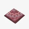 Roeckl YOUNG PAISLEY - Schal - Red