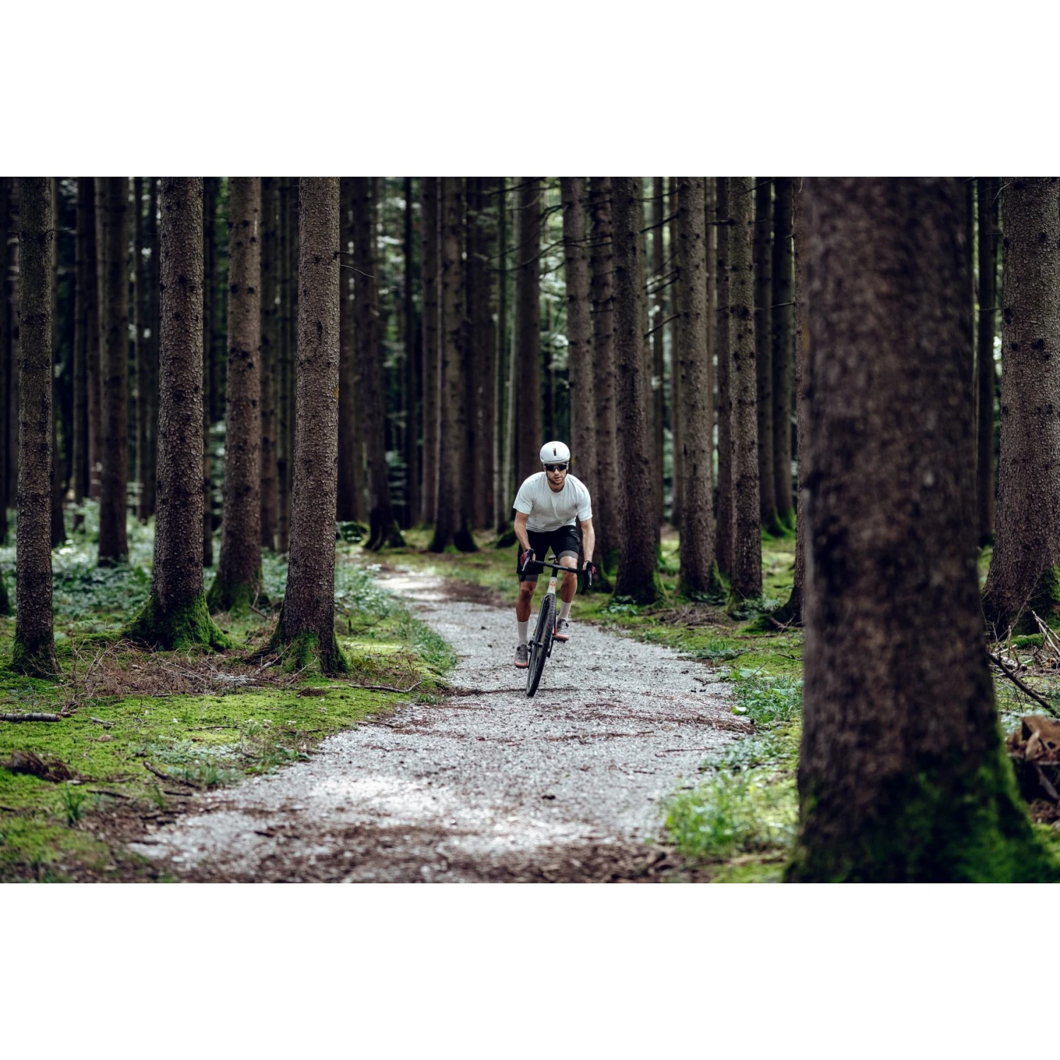 Roeckl Sports Malvedo Fahrradhandschuhe - Chive Green 6830 18 Roeckl Sports Malvedo Fahrradhandschuhe - Chive Green 6830 – Bild 18